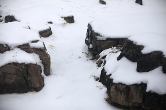 雪中岩石