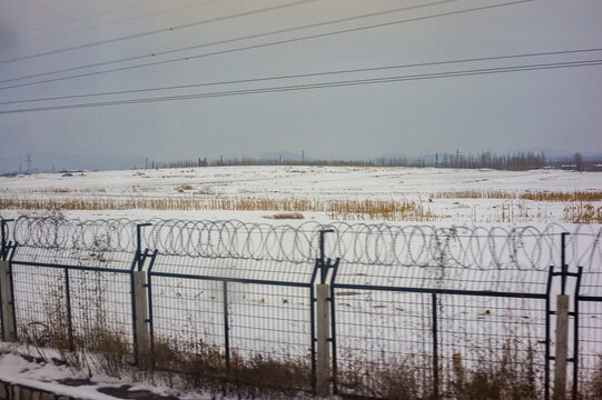 雪后原野