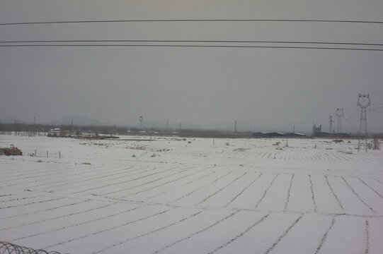 雪后原野