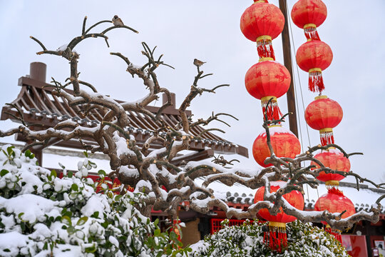 开封清明上河园大雪建筑灯笼雪景