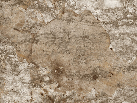米灰复古高端岩板大理石贴图