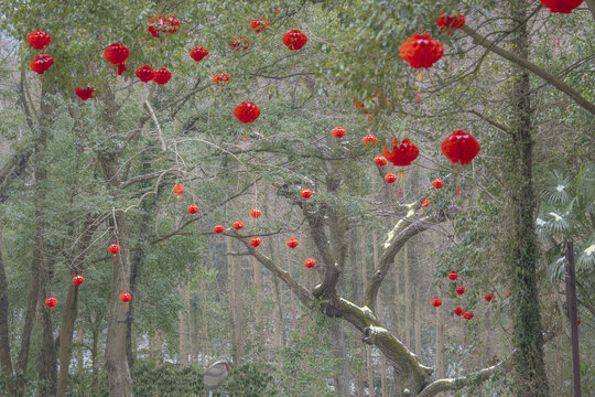 节日红灯笼