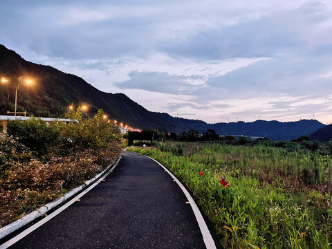 傍晚环湖花路