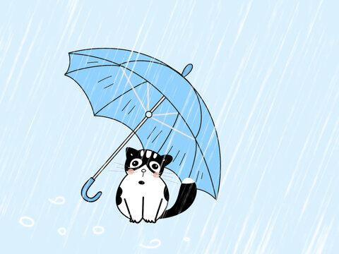 雨中小猫