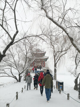 雪景