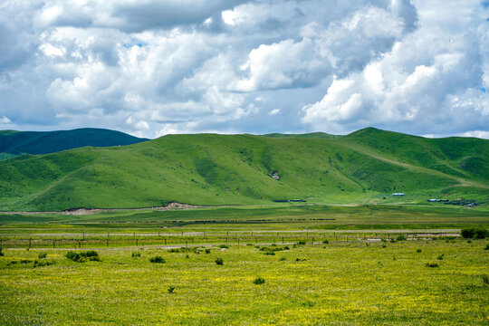 阿坝羌族藏族自治州红原大草原