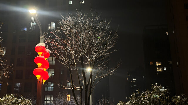 雪中夜景