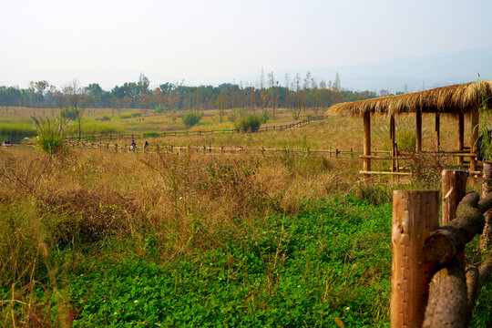 广阳岛牧场冬景