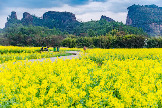 赣州于都上欧村油菜花黄映丹霞