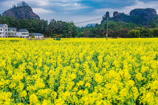 赣州于都上欧村油菜花黄映丹霞