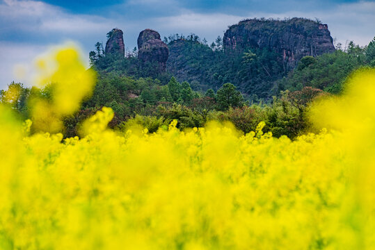 赣州于都上欧村油菜花黄映丹霞