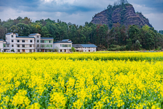 赣州于都上欧村油菜花黄映丹霞