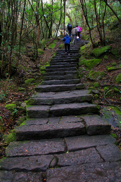 武夷山登山路