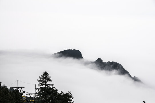 庐山含鄱口云海