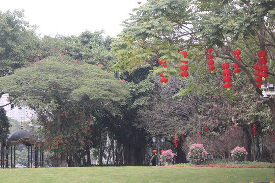 自然风景