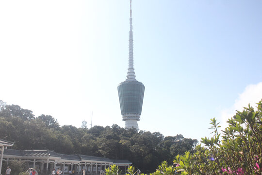 深圳梧桐山风景