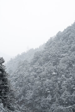 大雪深山森林雪景山中飘雪