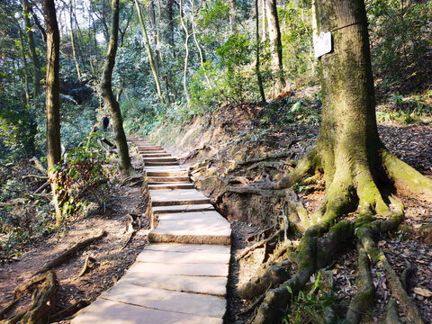 青城山登山步道