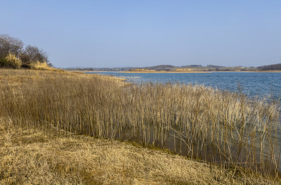 漳河湿地