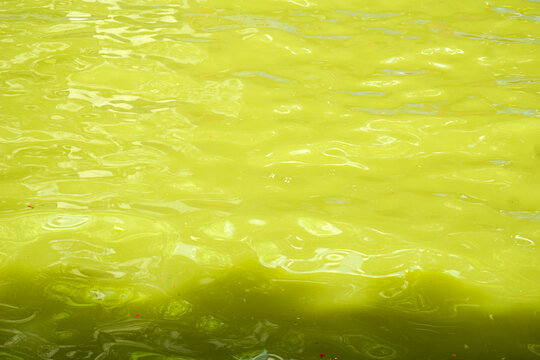 绿色河水