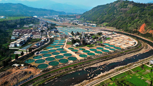 鲟鱼养殖场养殖基地