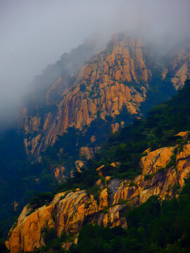 高山云雾