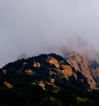 高山云雾