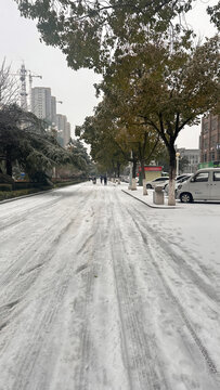 雪地