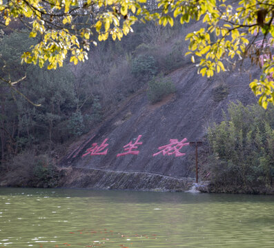 浙江新昌大佛寺放生池