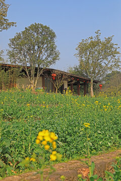 美丽乡村风景