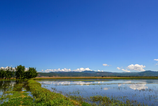 丽江拉市海湿地公园