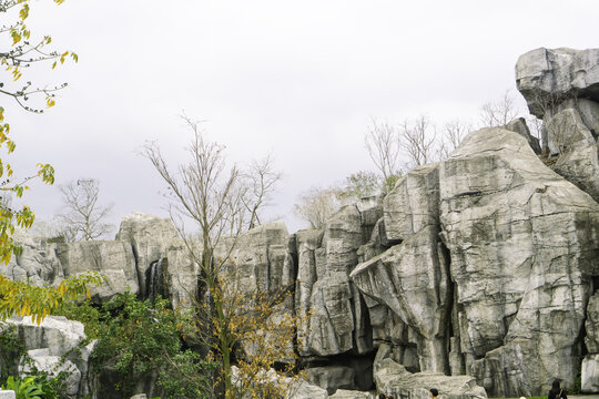 广州文化新馆风景