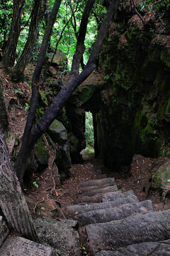 张家界登山石门