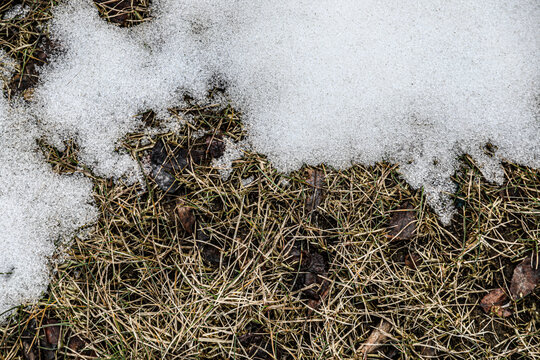 草地融雪