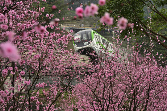 春天的列车