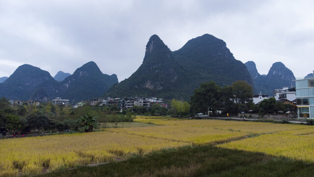 阳朔风景