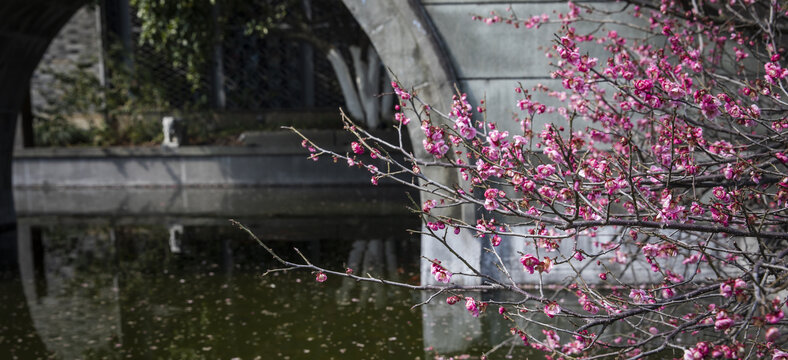 梅花古桥