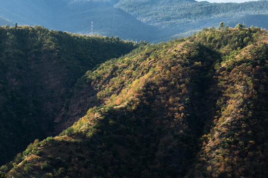 山岚秋色