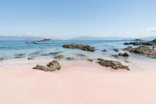 印度尼西亚科莫多岛粉色沙滩