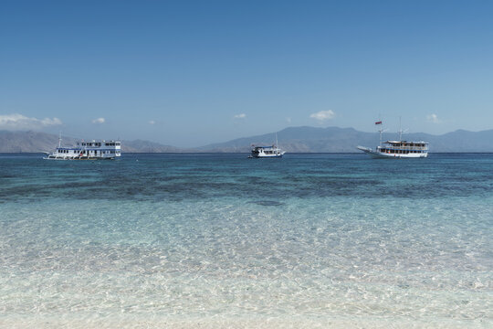 印尼科莫多岛粉色沙滩
