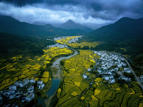 航拍婺源雨天山间梯田油菜花