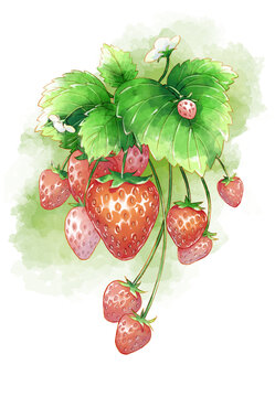 草莓水彩风插画贴纸手账小清新