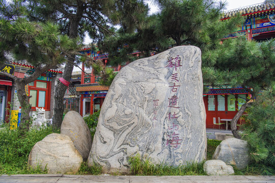 雄关古道壮山海碑石和松树