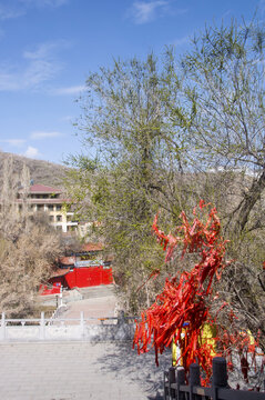 清泉寺寺院掠影