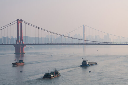武汉鹦鹉洲和杨泗港长江大桥