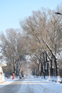 雪景