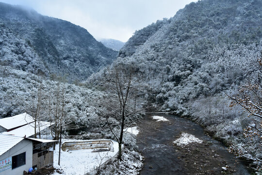 下雪的南方林场