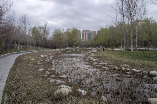 公园湿地