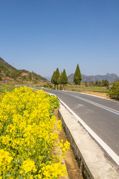 乡村绿道