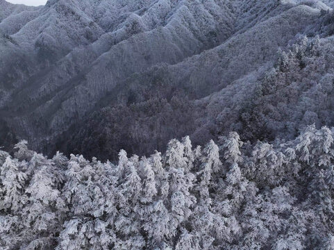 秦岭雪景